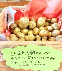 今日のみんなです☆