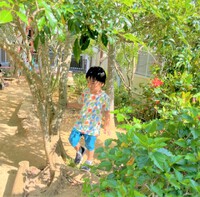 真夏日ですね☆