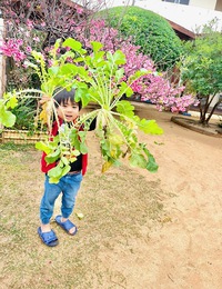 今日のみんなです☆
