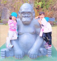 動物園へおでかけしました☆