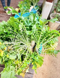 今日のみんなです☆