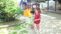 朝の様子＆英会話と園庭遊びです☆