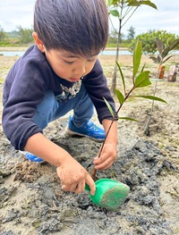オヒルギの植樹に出かけました☆ 2025/01/25 14:16:43
