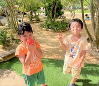 真夏日ですね☆