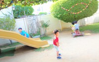 4月の写真です☆
