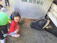 牛さんに会いに行きました☆ 2023/02/14 12:41:05