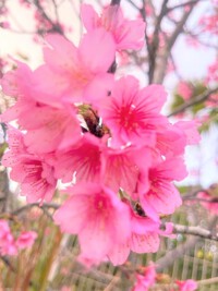 牛さんに会いに行きました☆