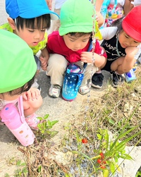 牛小屋までお散歩してきました☆（土曜日）