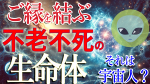 弘法大使空海は血液の中に 命の源がある。それは何？YouTube更新しています。