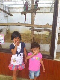 ミニミニ動物園♪