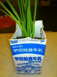 育てるv(。・ω・。) ィェィ♪