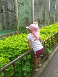 おもいでーーー(★´∀｀)