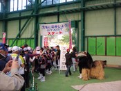 やんばるツーデーマーチ2日目