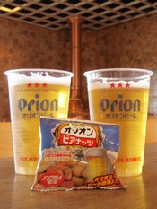 やんばるツーデーマーチ2日目