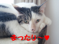 ピーマン