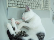 あの頃は