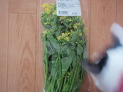 アスパラ菜