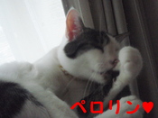 やちむん市