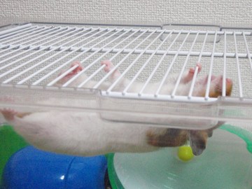 梅雨の晴れ間