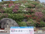 東村つつじ祭り