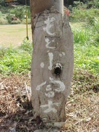 本部富士＆ニャきじん
