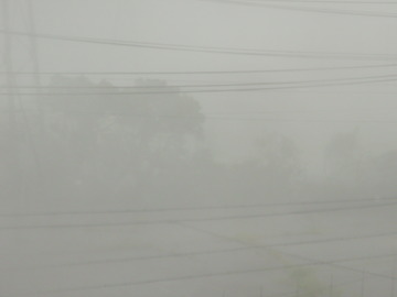 台風（；；）