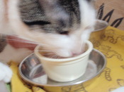 ひなまつり♪