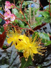 梅雨の休日