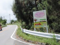 東村にて～中編