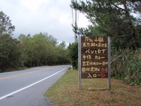 King of 山カフェ　山甌（やまがめ）