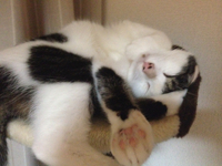 朝からヘコむ。。。 2012/07/16 19:54:00