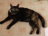 アヤシイ遠足（笑） 2012/09/26 11:30:26