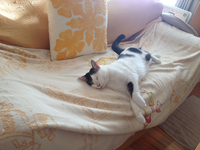 。。。 2012/07/26 21:16:27