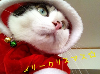 にゃんタクロース 2012/12/24 22:35:36