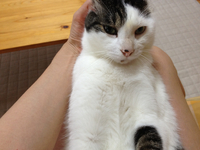 福地ダムまつり 2012/08/04 22:10:01