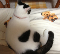 ボラヴェン去る 2012/08/28 20:41:56