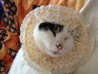 また来るの？ 2012/09/27 20:19:18