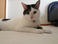 勢いあまって。。。 2012/04/24 22:00:50