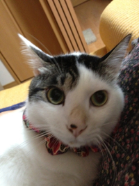 ２月なのに 2012/02/02 23:15:18