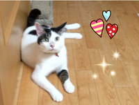 GW終わった。。。 2012/05/07 20:52:48