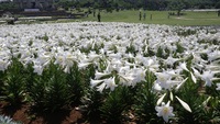 ガンガラーの谷 2012/05/09 12:25:43