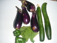 新鮮野菜 2008/07/26 19:42:33