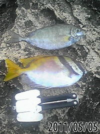 伊計島釣り結果(^^) 2011/05/05 12:50:55