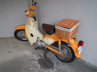リトルカブ、思いっきりフェミニンに。。。 2011/03/12 18:29:10
