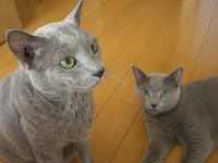 ありがとうございました 2009/12/31 21:08:44