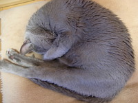 悩むぅーーー 2009/10/23 16:04:18