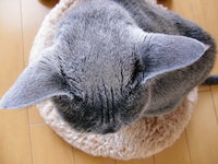 整理・・・ 2009/11/10 14:04:38