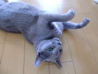 んんん・・・ 2009/11/23 10:08:36