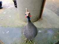 がんばれ！ 2010/02/24 16:19:04