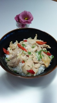 ６月８日☆本日の日替わりランチ 2010/06/08 11:42:07